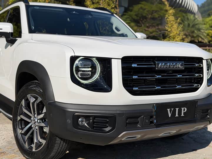 Фото 3 - Haval Dargo