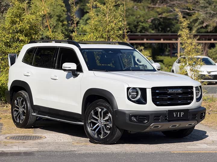 Фото 4 - Haval Dargo