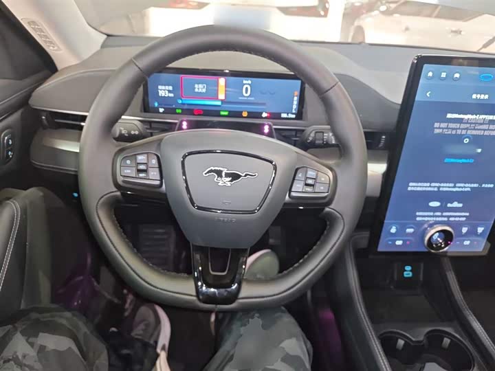 Фото 11 - Ford Mustang Mach-E