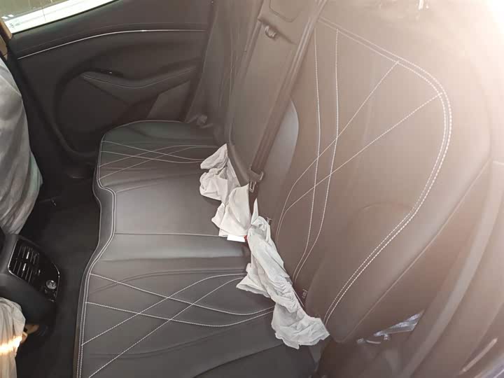 Фото 17 - Ford Mustang Mach-E