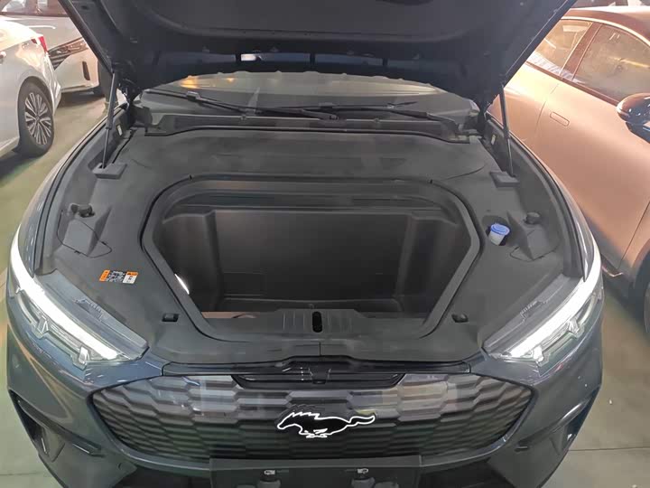 Фото 20 - Ford Mustang Mach-E