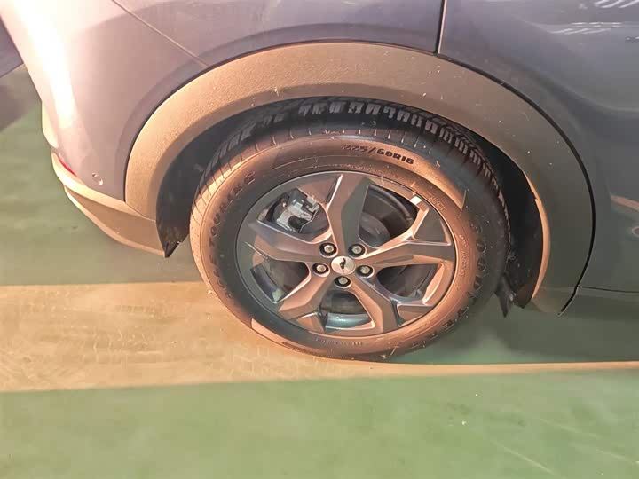 Фото 26 - Ford Mustang Mach-E