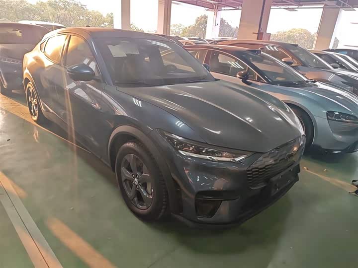 Фото 4 - Ford Mustang Mach-E