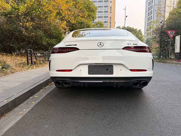 Фото 10 - Mercedes-Benz AMG GT