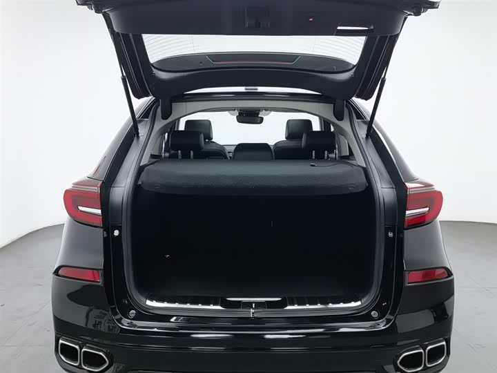 Фото 16 - Honda Avancier