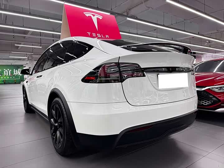 Фото 8 - Tesla Model X