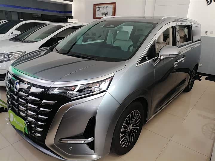 Фото 1 - Denza D9