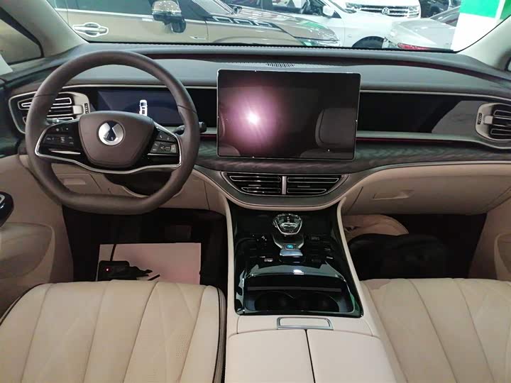 Фото 10 - Denza D9