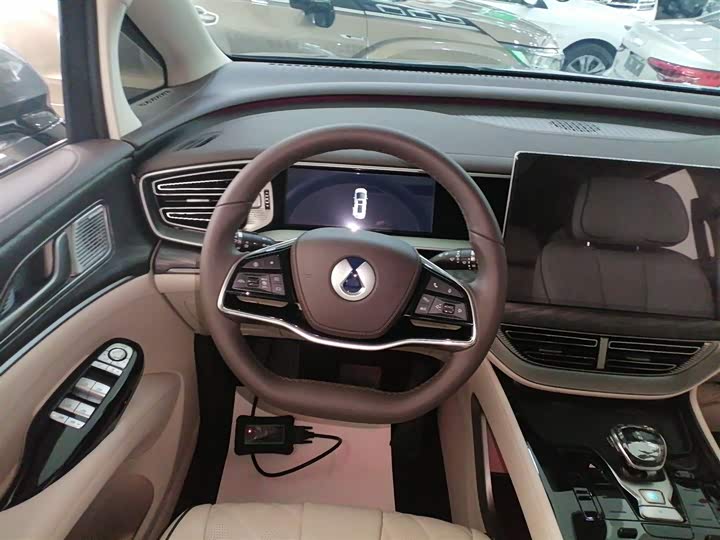 Фото 11 - Denza D9