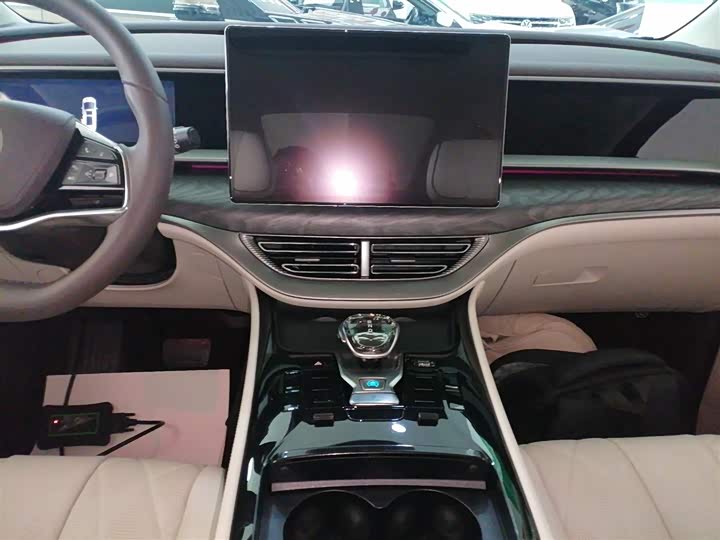 Фото 13 - Denza D9