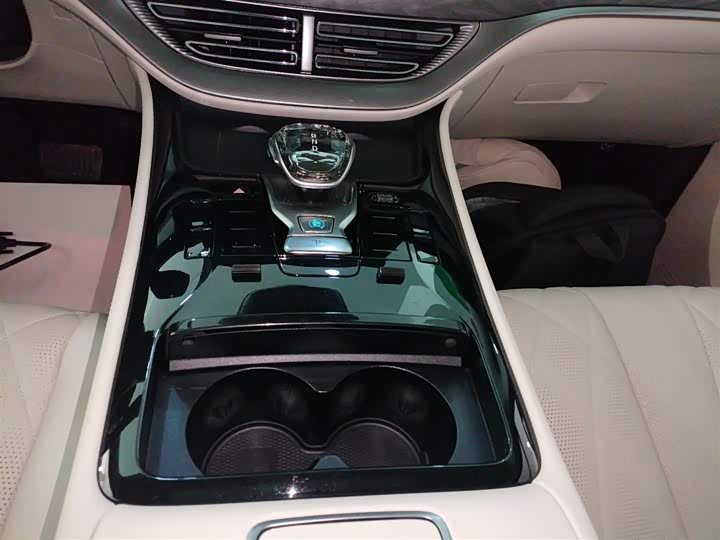 Фото 14 - Denza D9