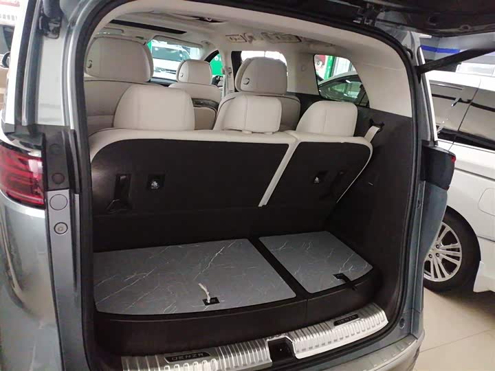 Фото 19 - Denza D9