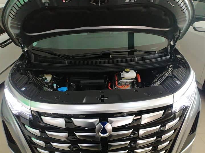 Фото 20 - Denza D9