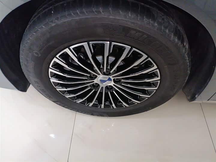 Фото 23 - Denza D9