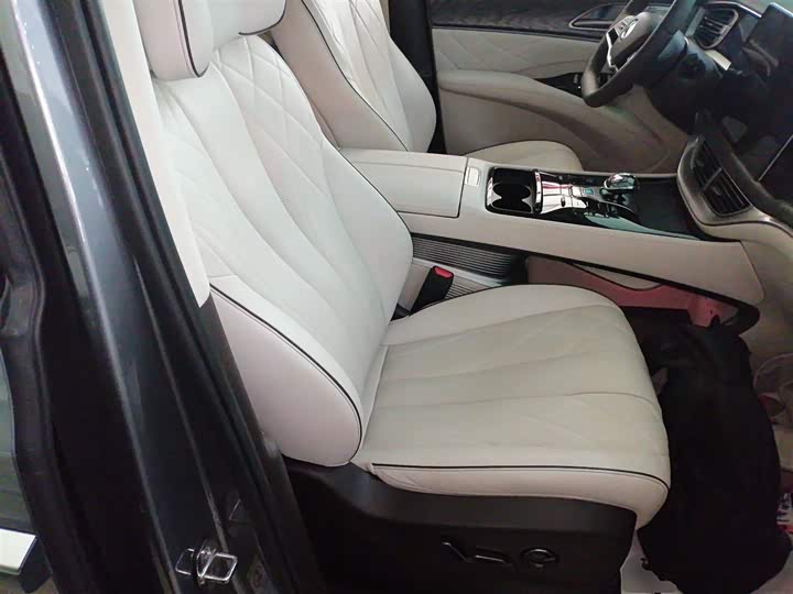 Фото 25 - Denza D9