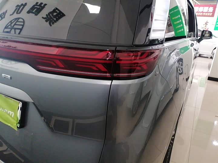 Фото 8 - Denza D9