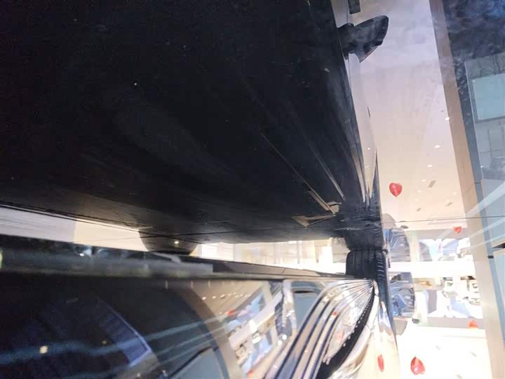 Фото 22 - Hongqi EH7