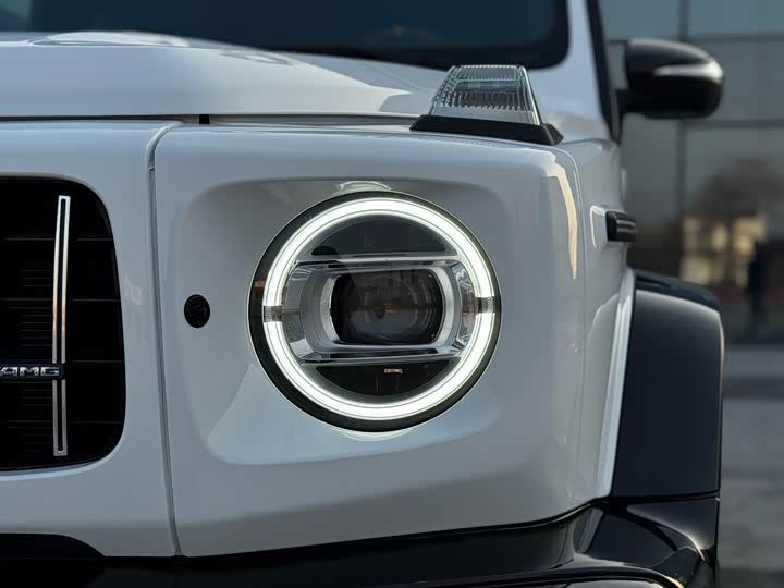 Фото 5 - Mercedes-Benz G-Class