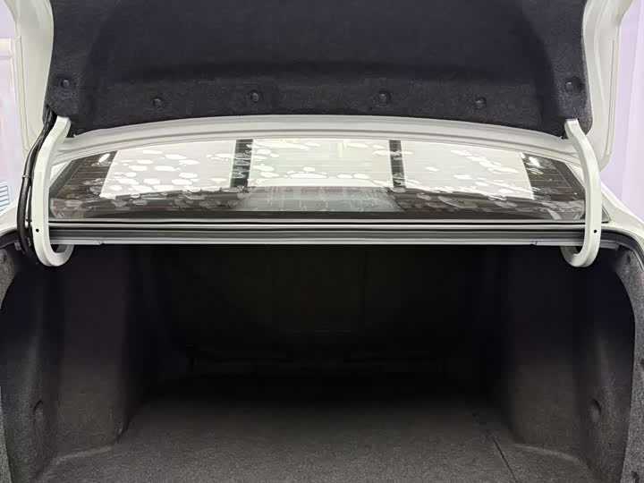 Фото 20 - Honda Envix