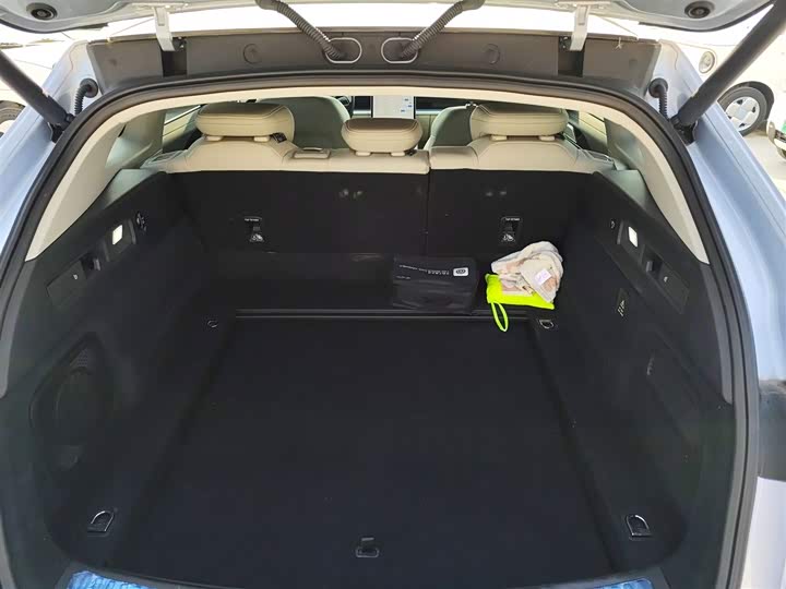 Фото 19 - Hozon S Hunting