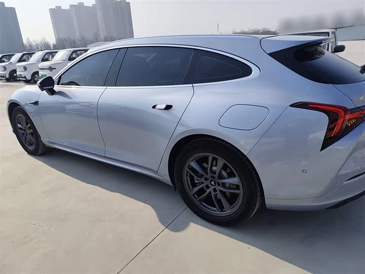 Фото 5 - Hozon S Hunting