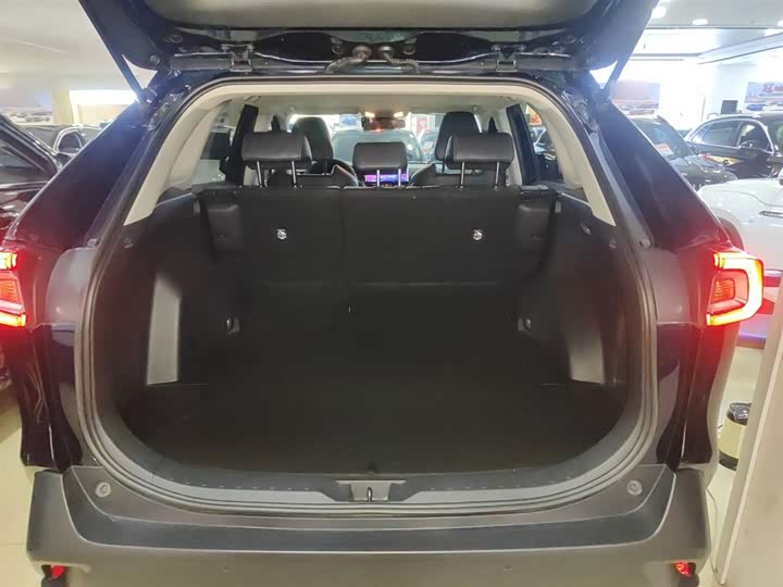 Фото 19 - Toyota Wildlander