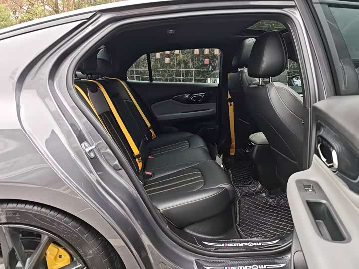 Фото 18 - GAC Trumpchi Empow R