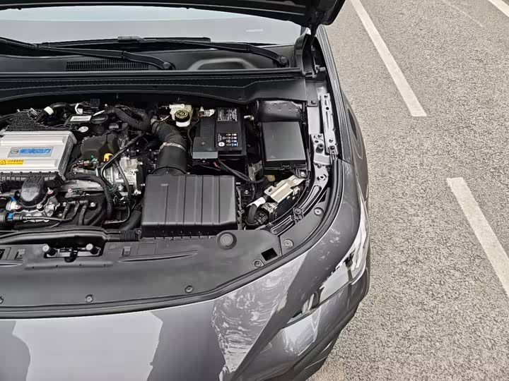 Фото 24 - GAC Trumpchi Empow R