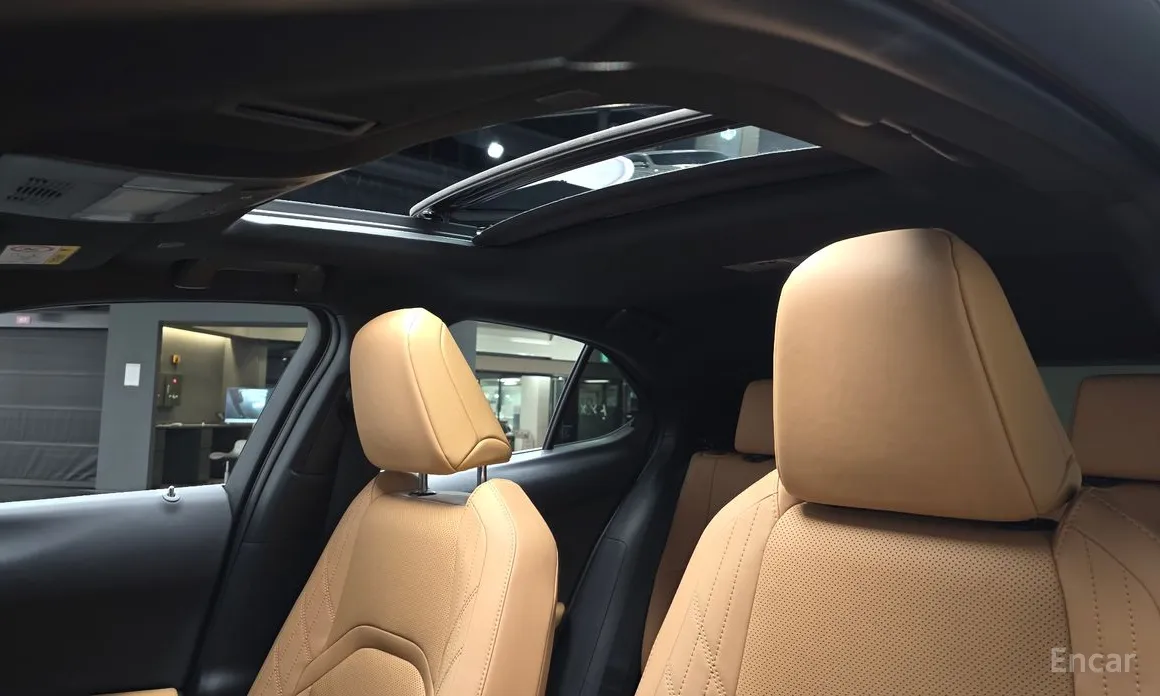 Фото 19 - Lexus UX