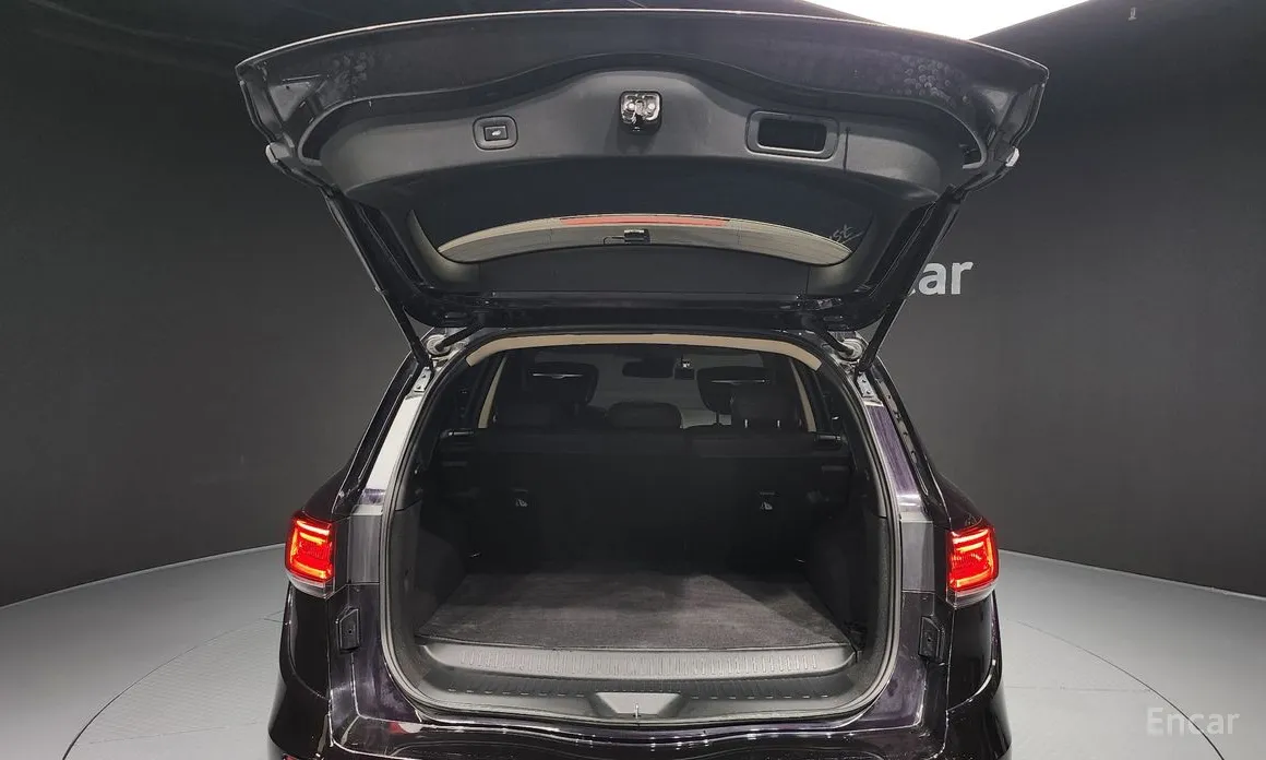 Фото 20 - Renault QM6