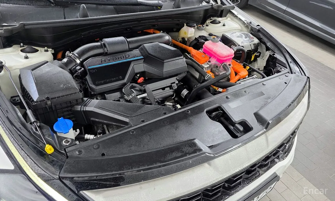 Фото 6 - Kia Sportage