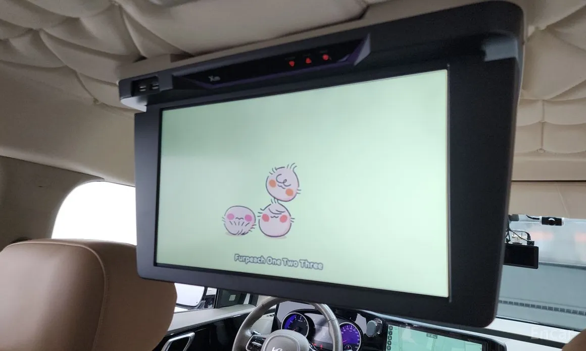 Фото 18 - Kia Carnival