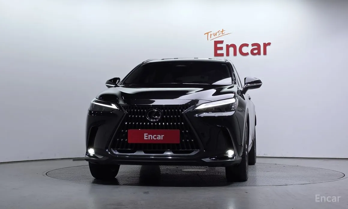 Фото 3 - Lexus NX