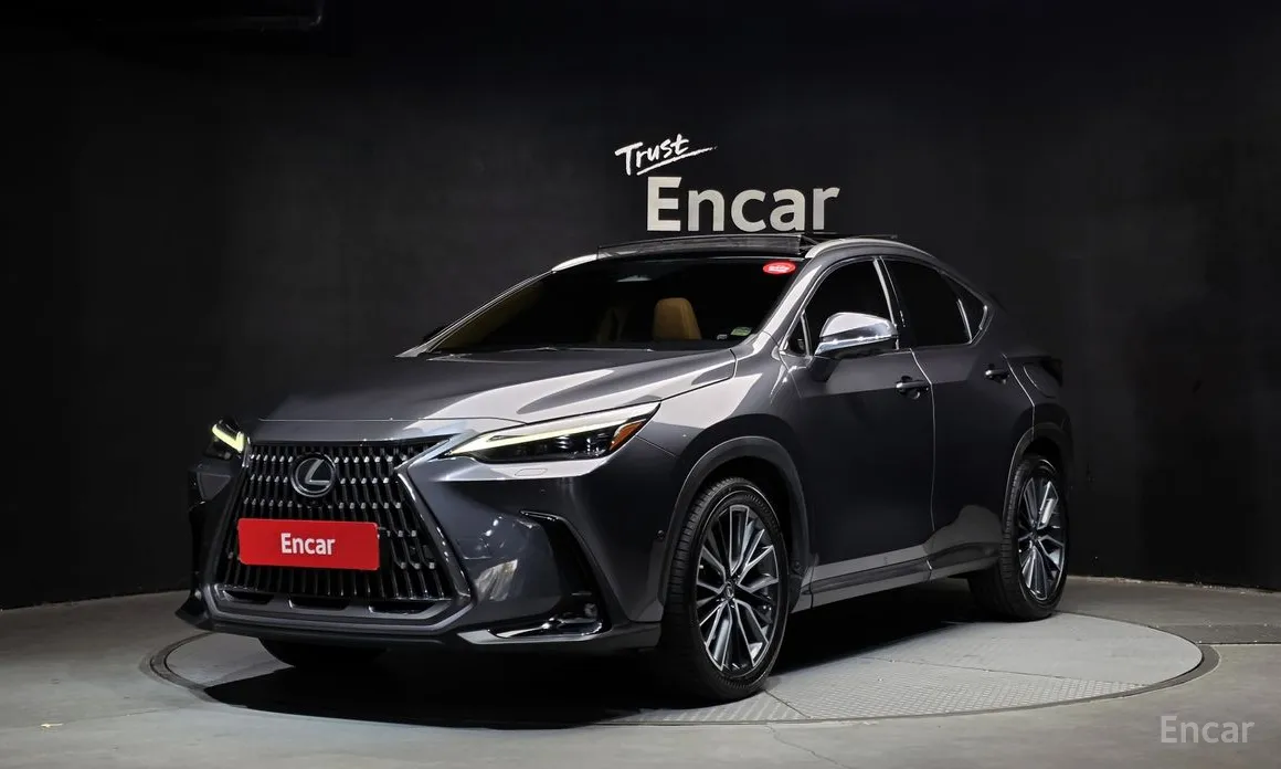 Фото 1 - Lexus NX