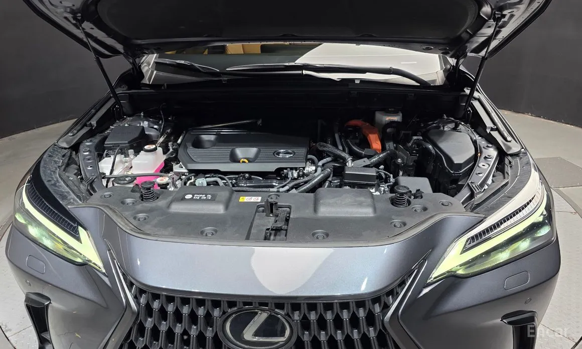 Фото 6 - Lexus NX