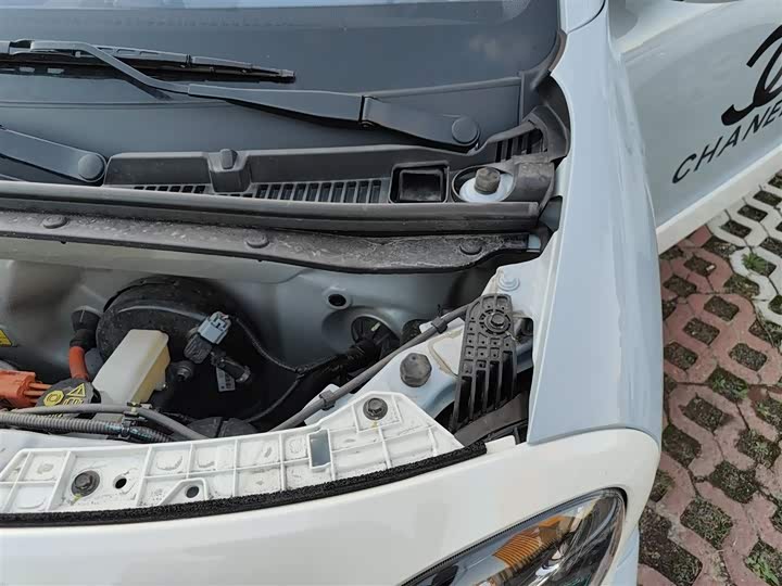 Фото 23 - Bestune Pony