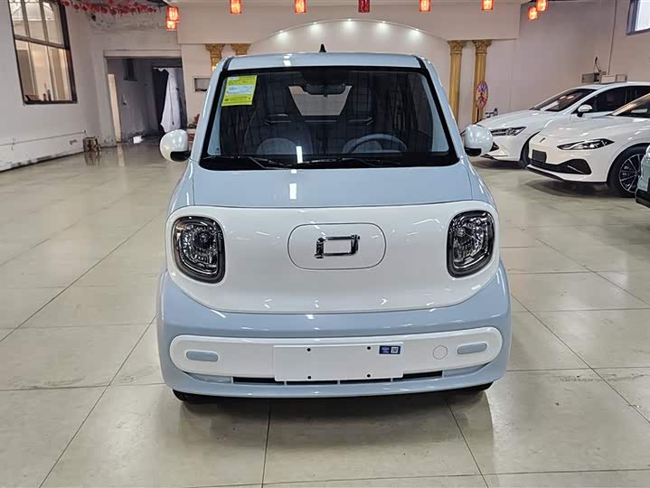 Фото 27 - Bestune Pony