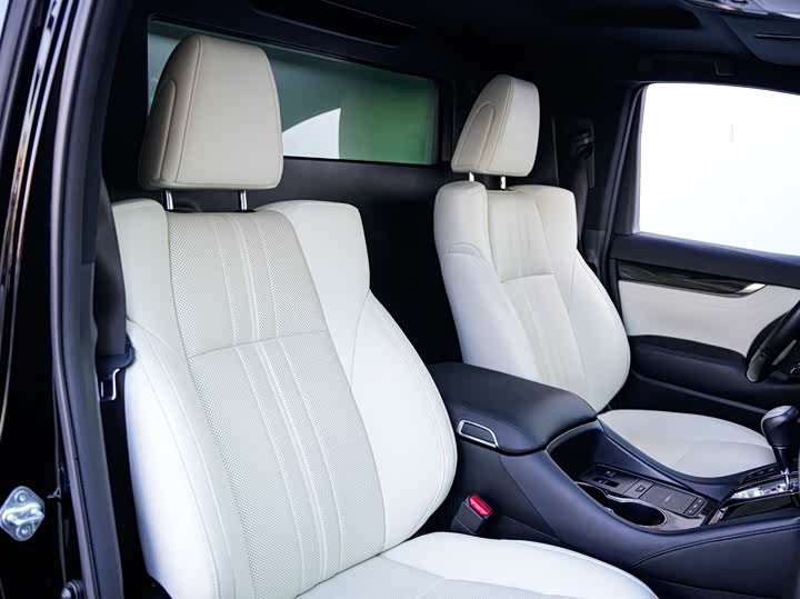 Фото 12 - Lexus LM