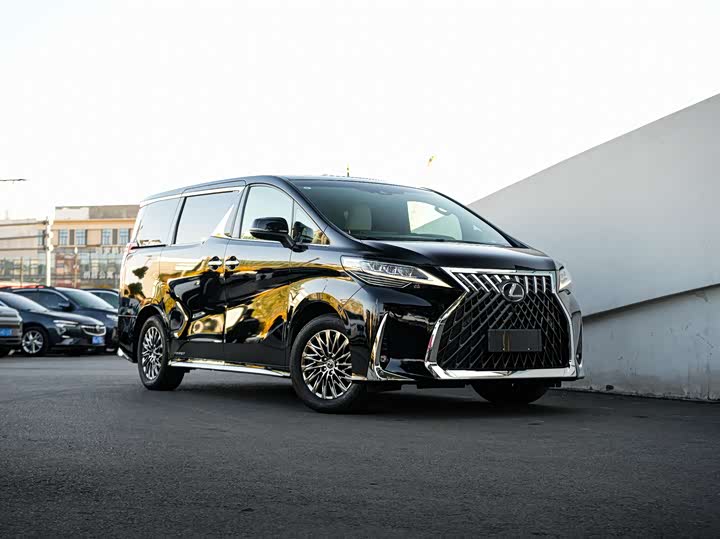 Фото 3 - Lexus LM