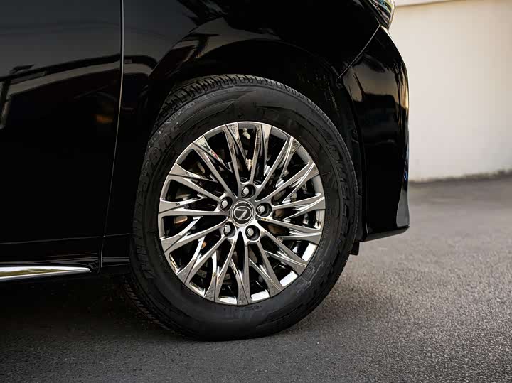 Фото 8 - Lexus LM