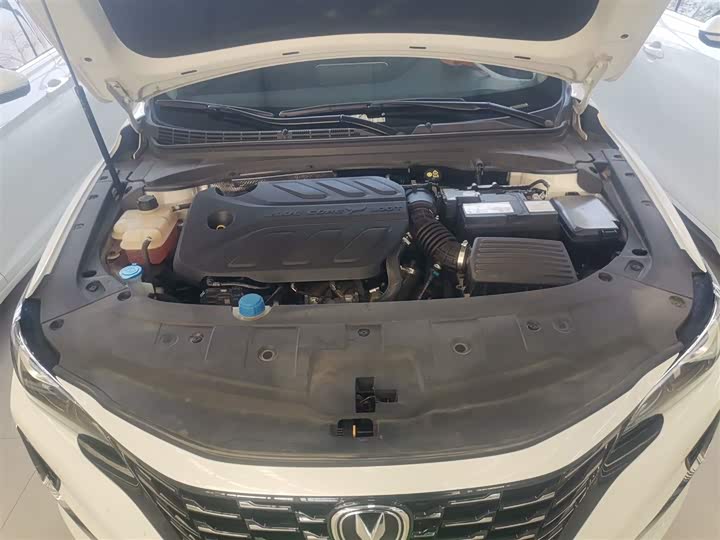 Фото 20 - Changan Raeton CC