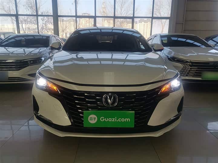 Фото 3 - Changan Raeton CC