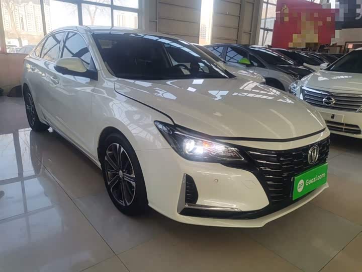 Фото 4 - Changan Raeton CC