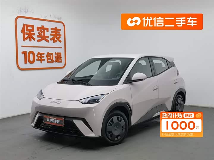 Фото 1 - BYD Seagull