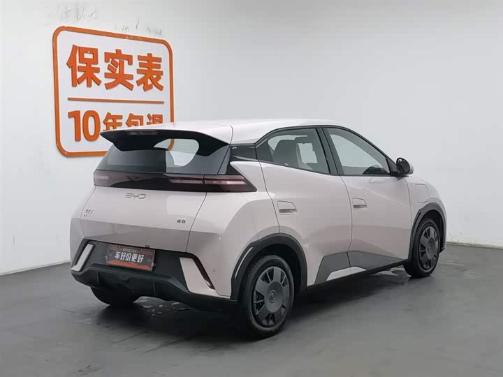 Фото 2 - BYD Seagull