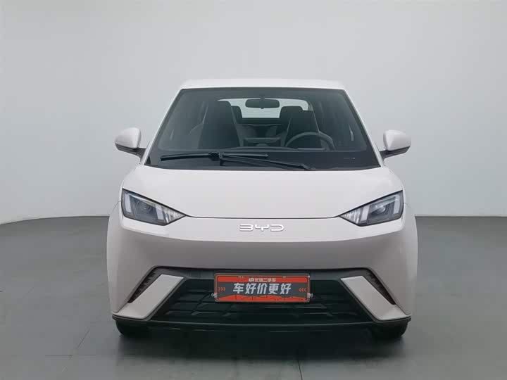 Фото 3 - BYD Seagull