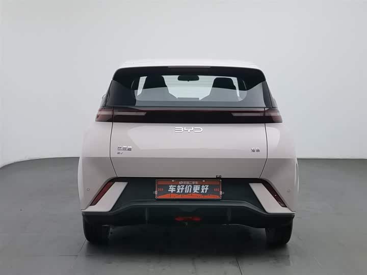 Фото 4 - BYD Seagull