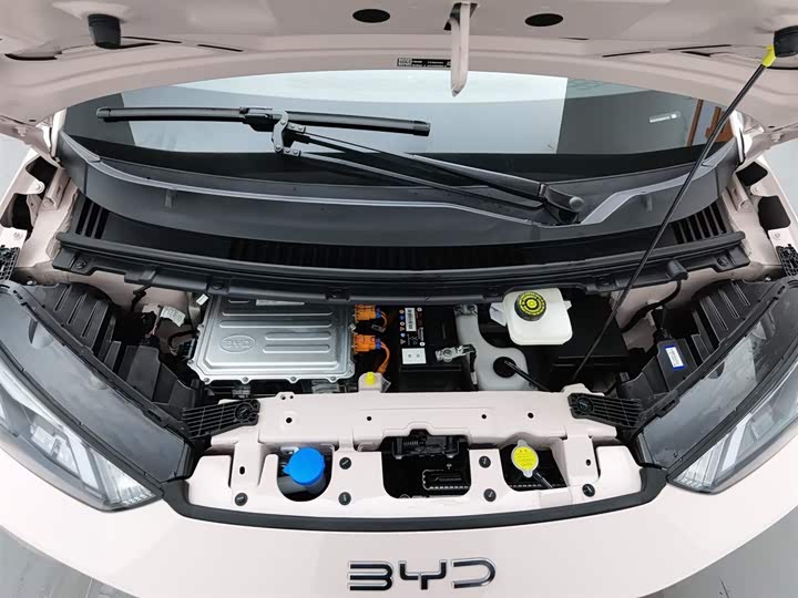 Фото 6 - BYD Seagull