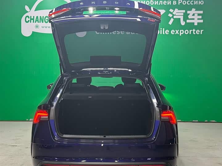 Фото 10 - Skoda Octavia Pro