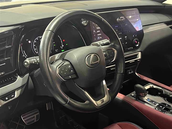 Фото 15 - Lexus RX